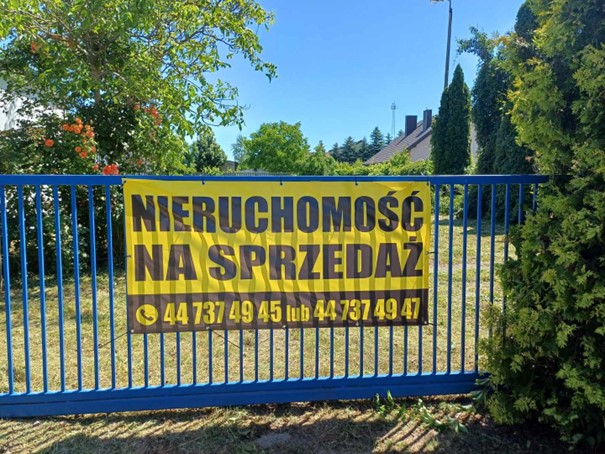 obraz4
