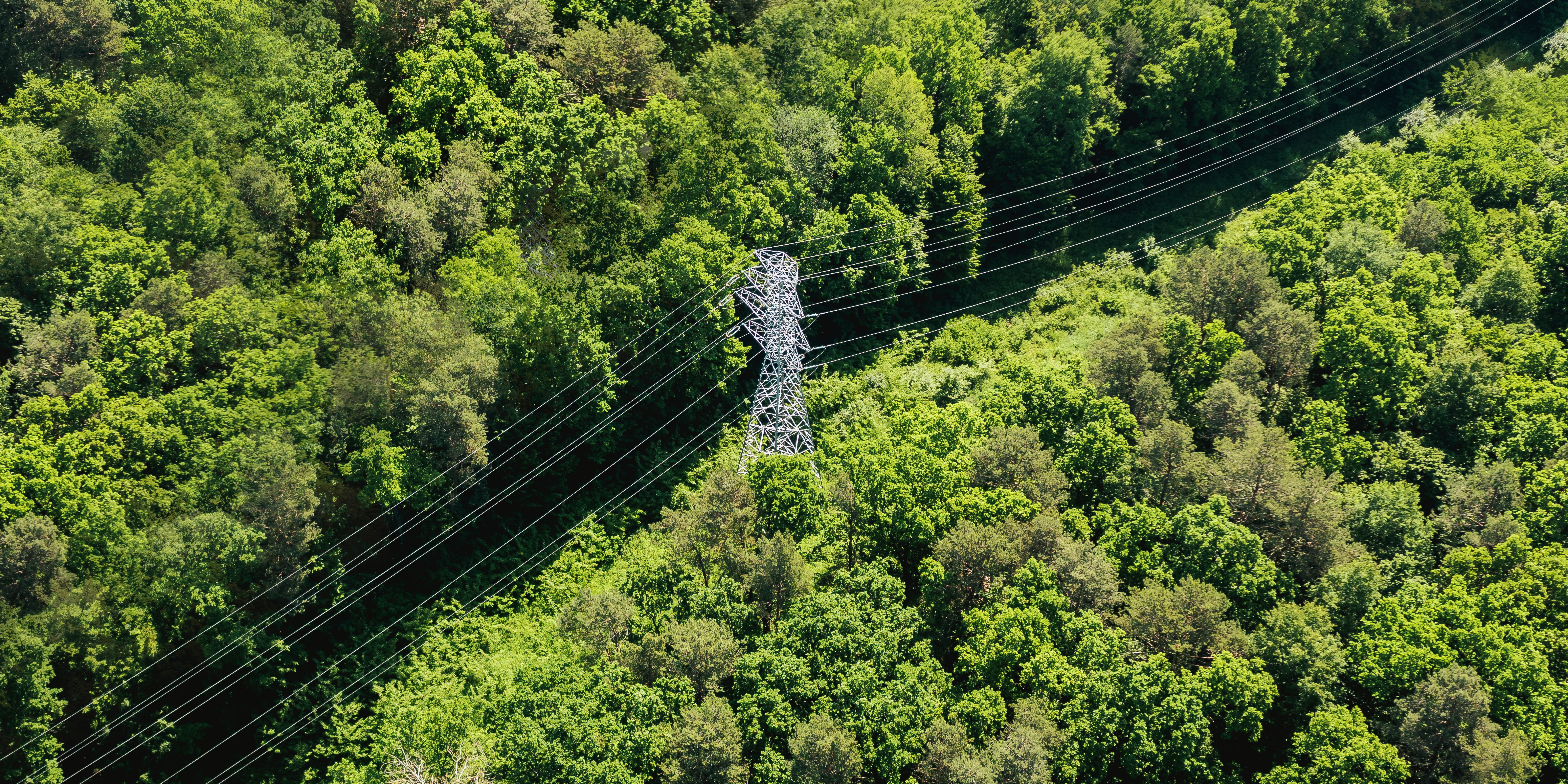 Niezawodne usługi dystrybucji