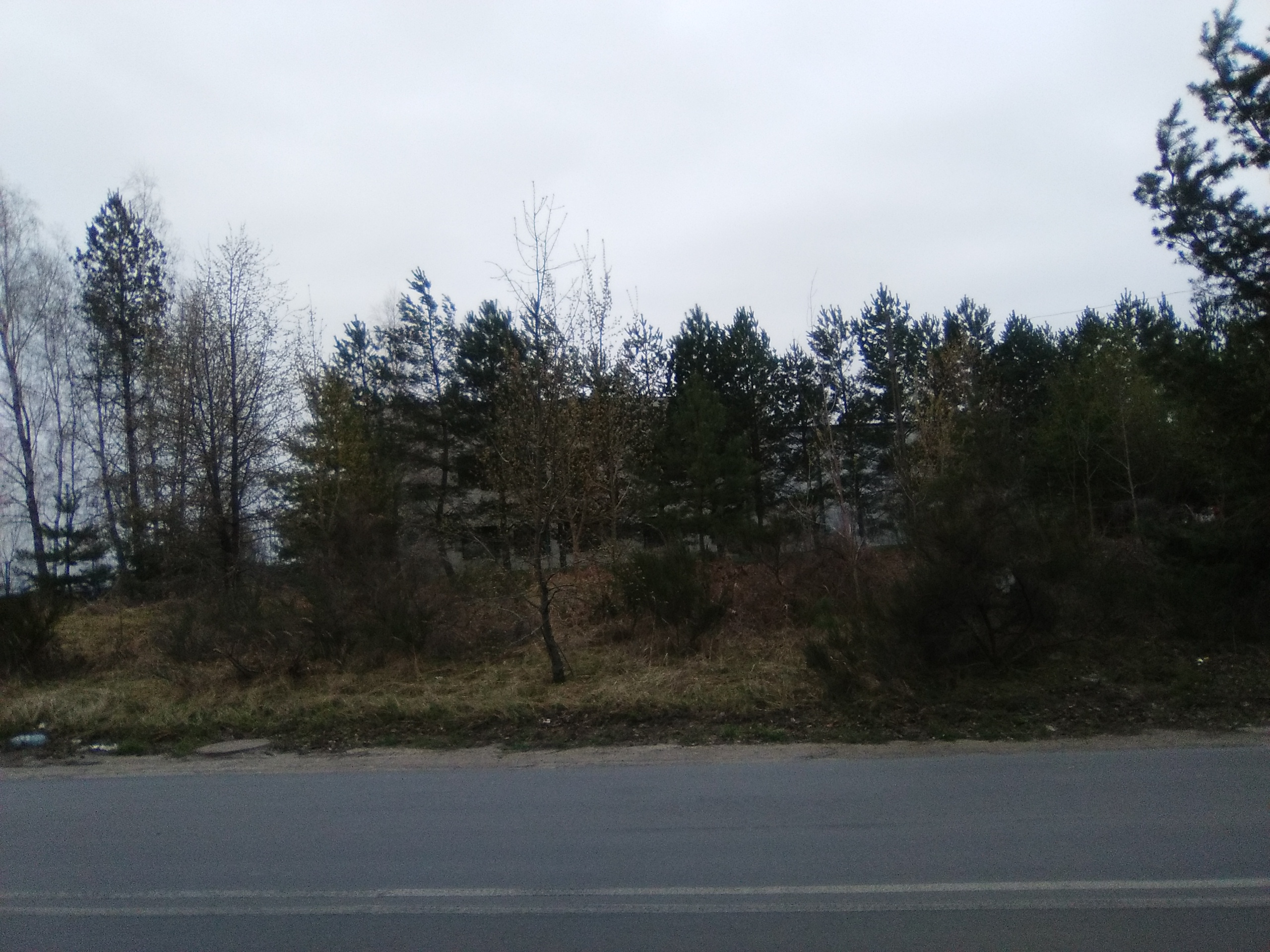 IMG_20250411_074527