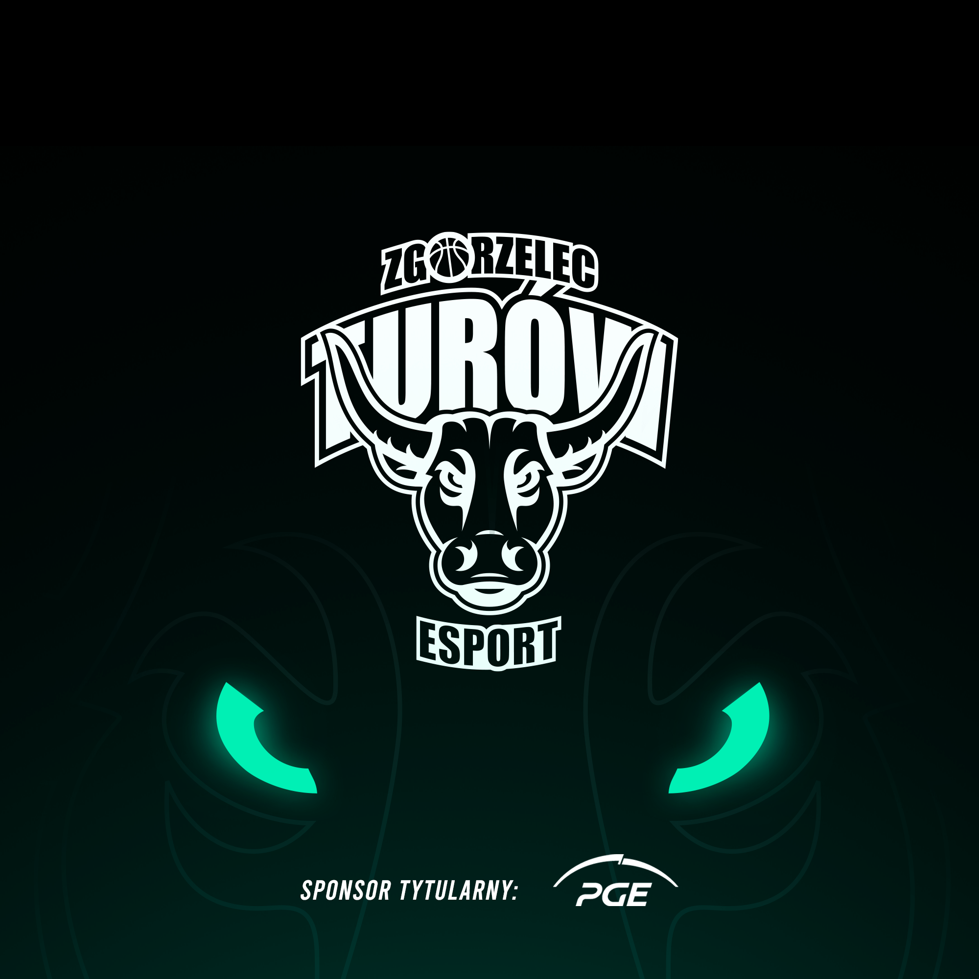 Sekcja e-sportowa PGE Turów Zgorzelec z sukcesami w polskich rozgrywkach w Counter Strike Global Offensive