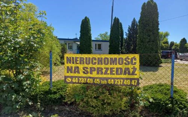 Obraz3