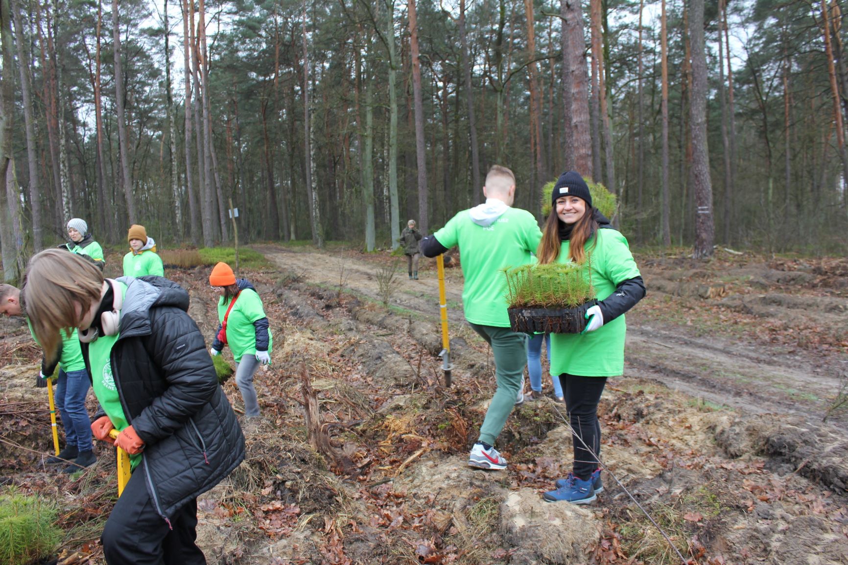 Lasy Pełne Energii PGE