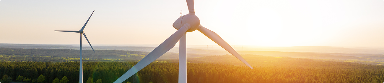 zielona energia