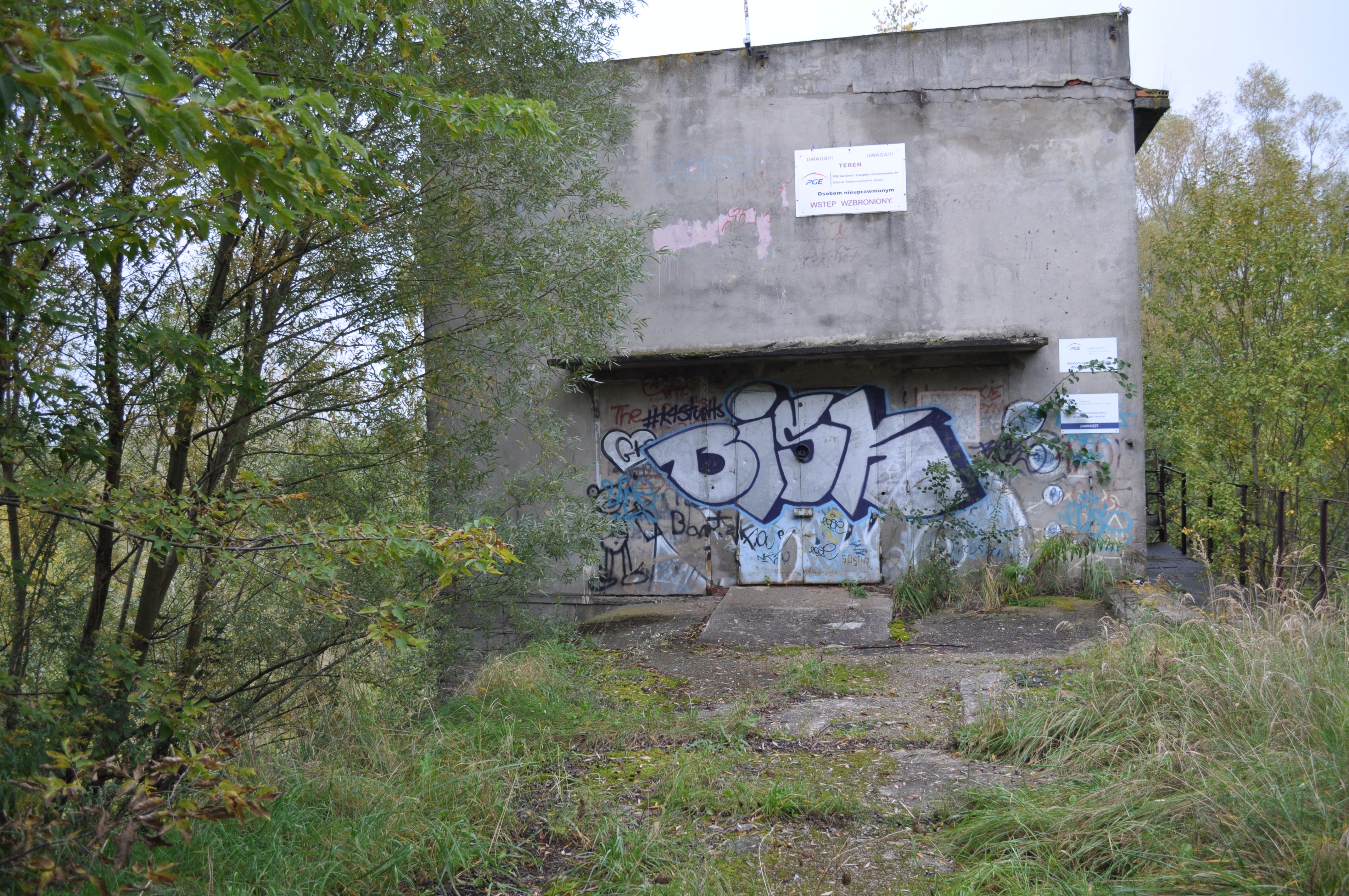 Obraz8
