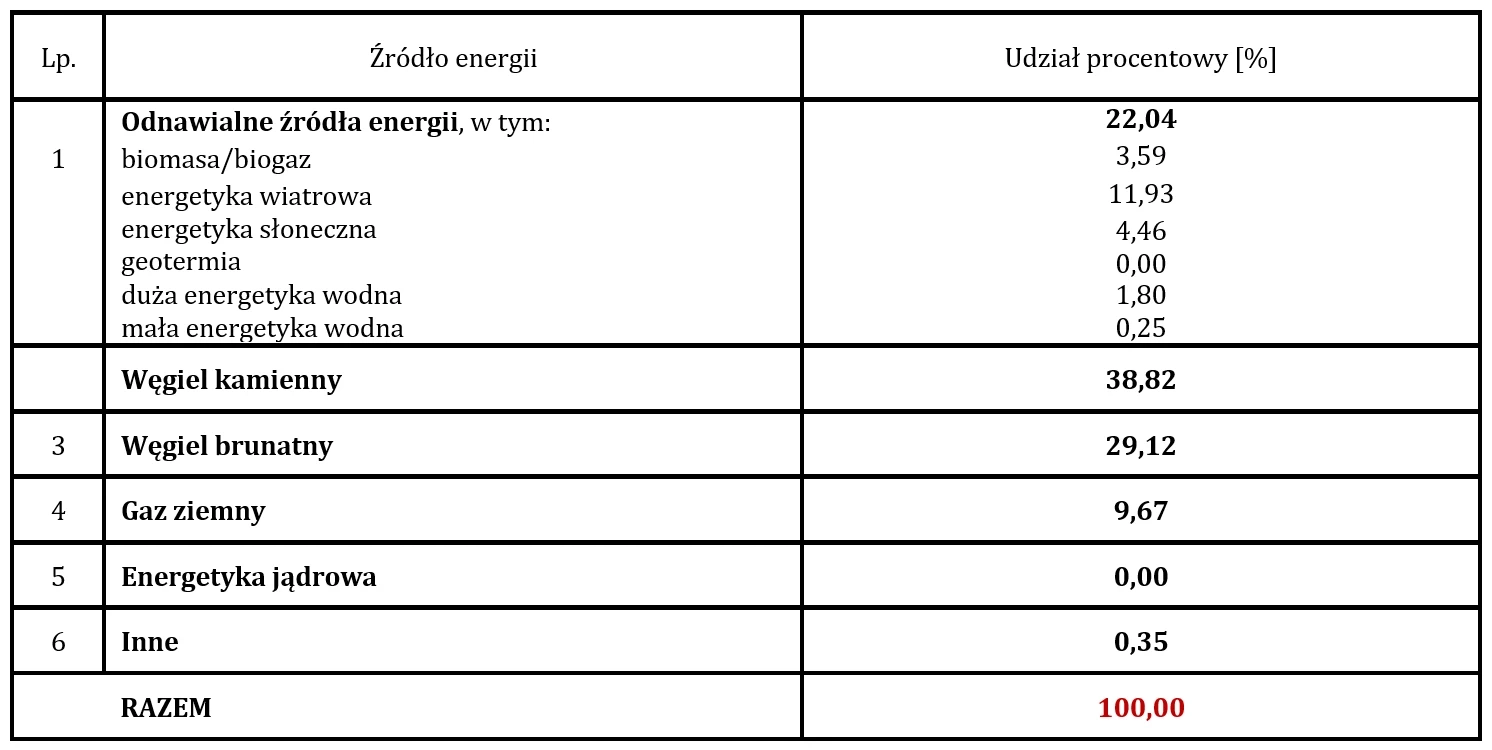 STRUKTURA PALIW 2024 visual data 5